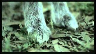 Always Dare- Motivational Ad on Risk Taking!