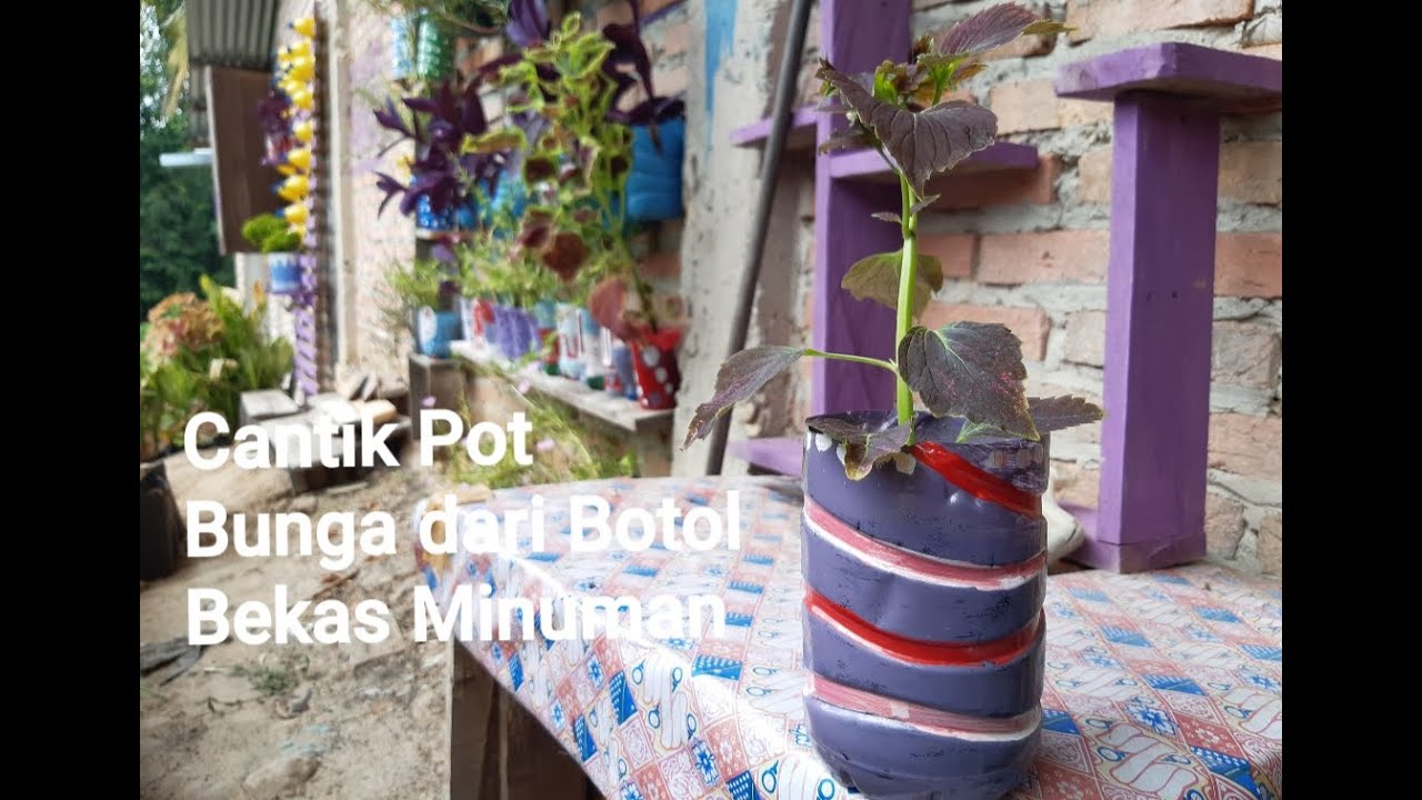 DIY Cara buat pot bunga cantik  warna ungu dari botol bekas 