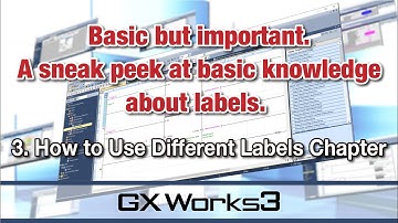 3. How to Use Different Labels Chapter