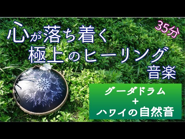 こはく様　【グーダドラム】 こはく様 【グーダドラム】 こはく様 【グーダドラム】