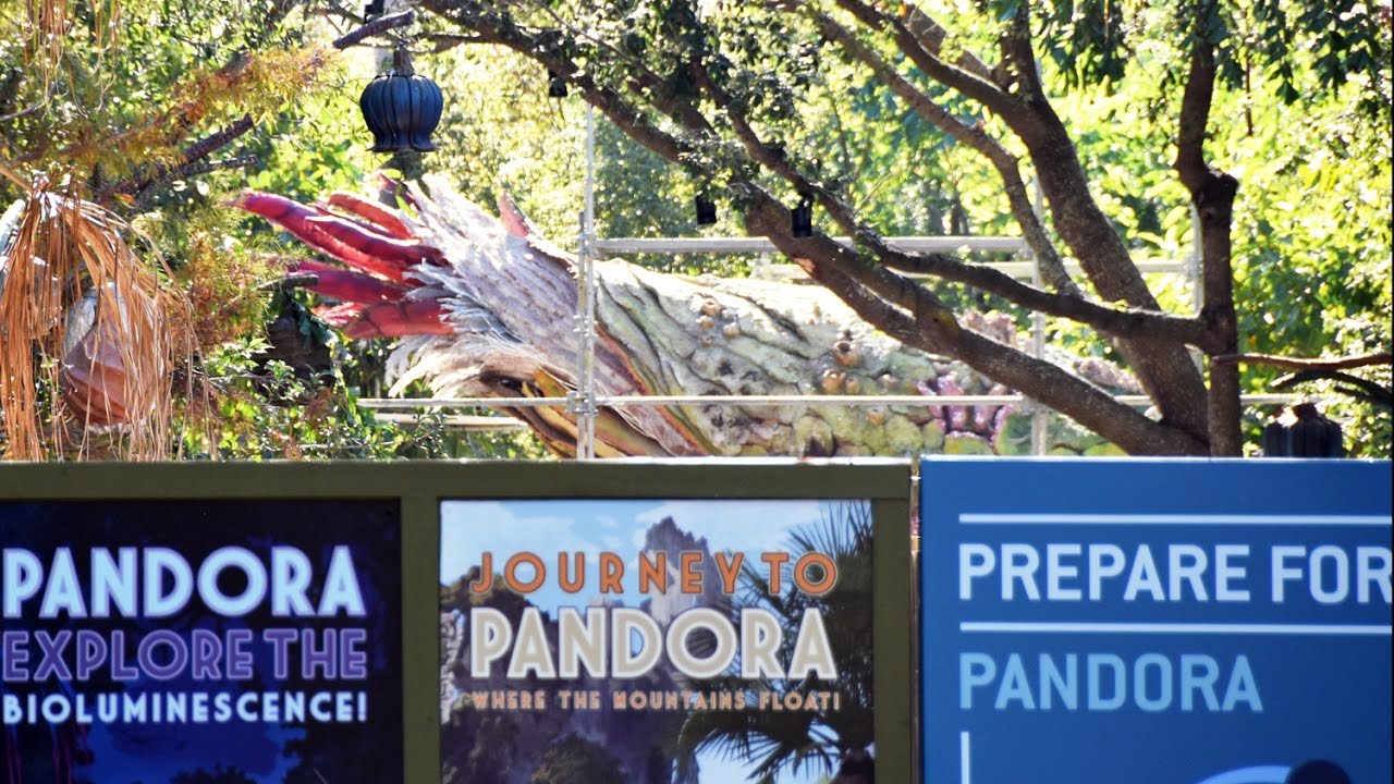 walt disney world vacation Pandora The World Of Avatar Construction Update at Disney's Animal Kingdom, Dec 2016