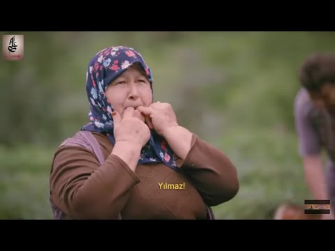 لن تصدق قرية تتواصل بلغة الصفير كوشكوي في شمال تركيا وثائقي بتعليق عربي ومترجم 