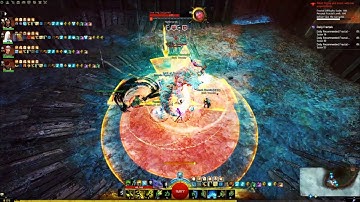 [qT] Daily Nightmare Fractal | Druid PoV