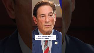 Hochman on LA protest crime stats