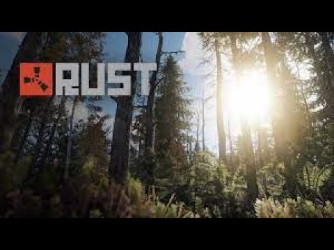 Видео: Вайп с нуля | Одна против всех | #rust #раст