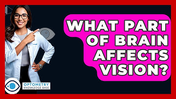 What Part Of Brain Affects Vision? - Optometry Knowledge Base