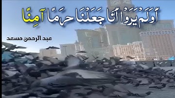 أَوَلَمْ يَرَوْا أَنَّا جَعَلْنَا حَرَمًا آمِنًا || عبد الرحمن مسعد || سورة العنكبوت
