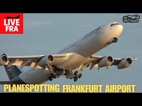 🔴Live After Work Planespotting Frankfurt Airport 🛫 Hello again👋 #airplanes