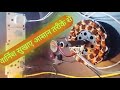Moter ka varnish kayse sukhay ll सर्दियों में मोटर का वार्निश कैसे सुखाए ll वार्निश सुखाने का तरीका।