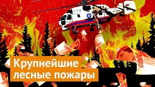 Пожары в Сибири: почему необходимо бить тревогу