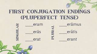 CC Cycle 2 Week 9 Latin | First Conjugation Endings (Pluperfect Tense)