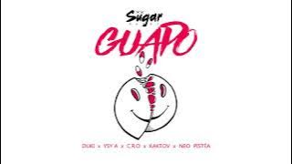 Ysy A, Duki, Kaktov, C.R.O., Neo Pistea - GUAPO (Oficial)