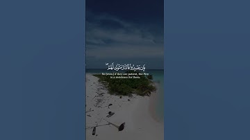 ﴿وَذلِكُم ظَنُّكُمُ الَّذي ظَنَنتُم ﴾ من سورة فصلت بصوت الشيخ ياسر الدوسري
