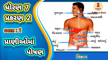 Pranioma poshan || std 7 science ch 2 || પ્રાણીઓમાં પોષણ || ધોરણ 7 વિજ્ઞાન પાઠ 2 ||