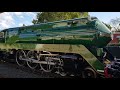 NSWGR Steam locomotive 3801 2/7/2020  😎🇦🇺