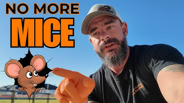 A Guaranteed Way To Get Rid of Rodents/Mice Fast!