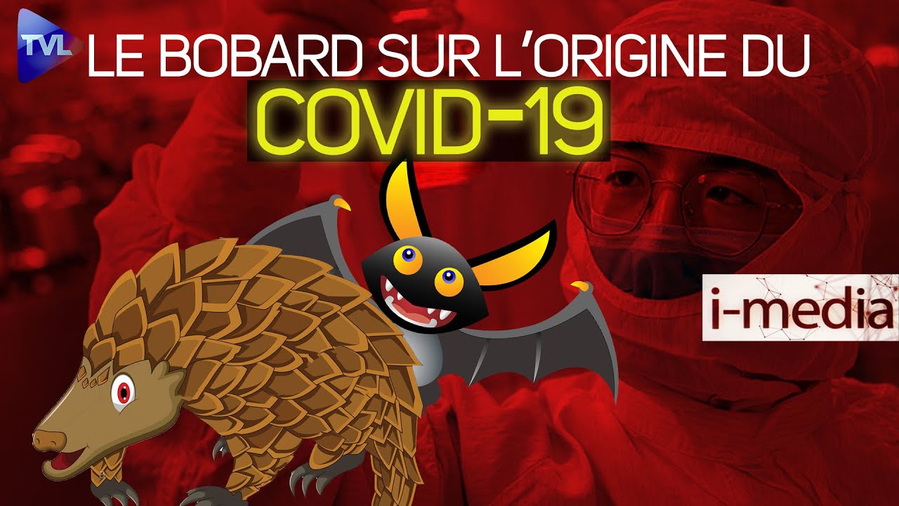 I-Média n°350 – L’énorme bobard des médias sur l’origine du Covid-19