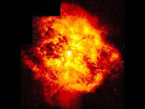 What Happens if Betelgeuse Explodes?