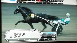 V75 Solvalla DD 1 Svenskt Trav-Kriterium Brambling
