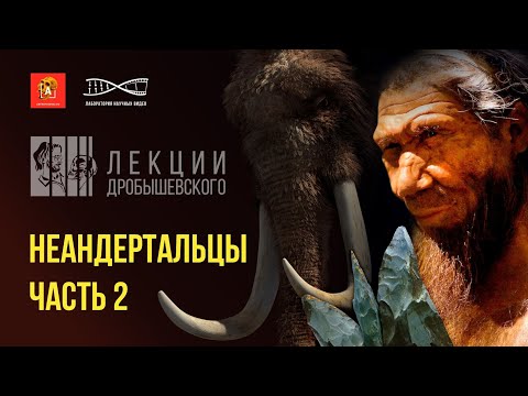 Видео: Культура, искусство и быт неандертальцев. Лекции Дробышевского. Неандертальцы (продолжение)