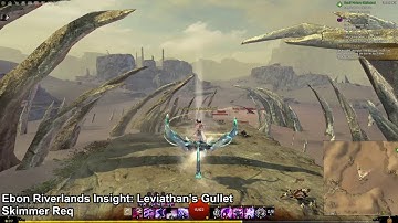 GW2 Elon Riverlands Mastery Insights Guide