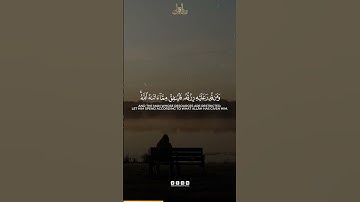 Surah At Talaq Verse 7 | سورة الطلاق الآية 7 | Abdun Nasir Khan