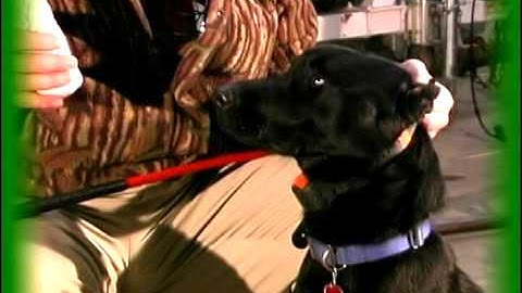 Brief SmartFetch exerpt