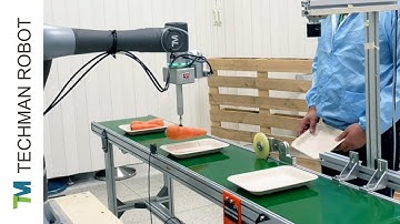 V2A023 TM Robot - Food Processing at Carrot Factory