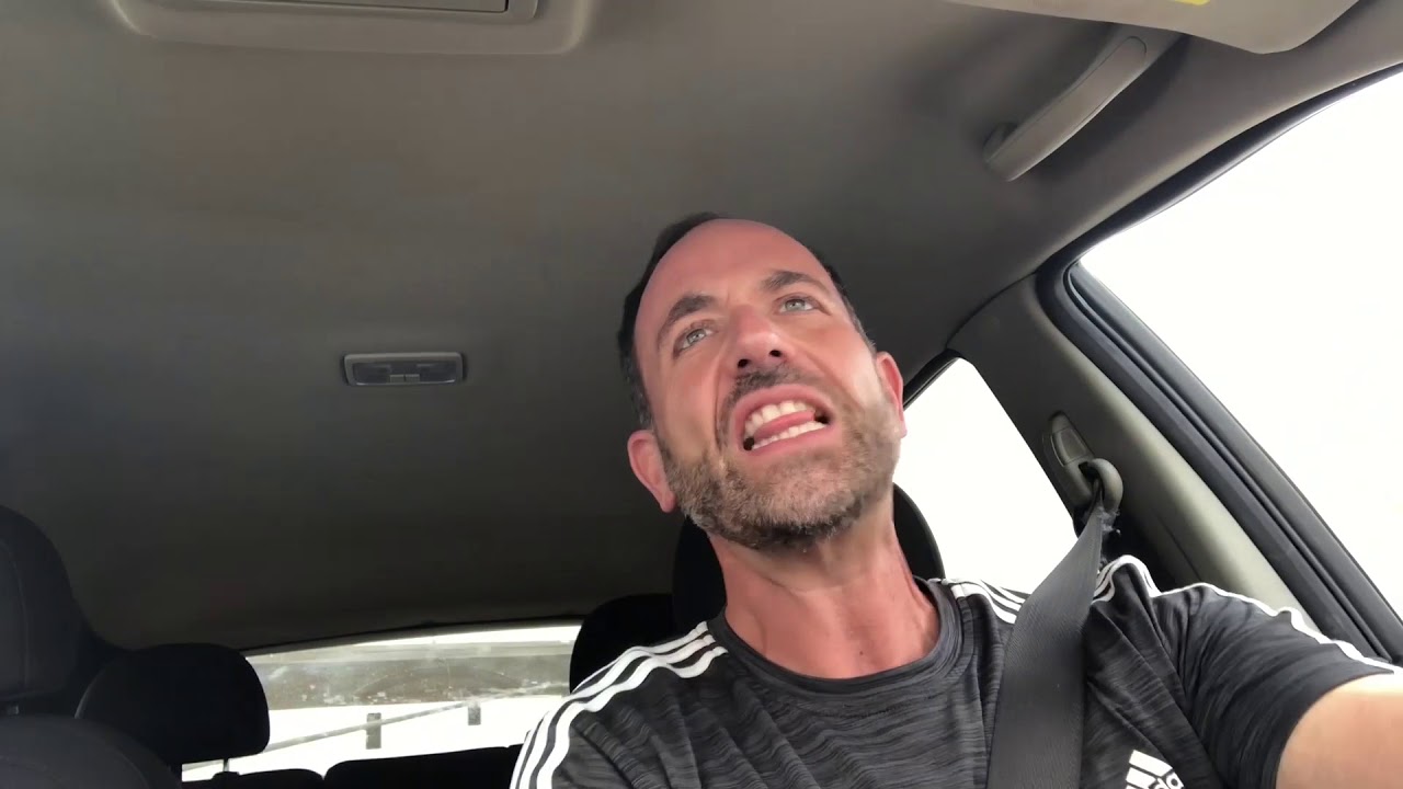 The Dog Savant Podcast Ep 18 Pavlov's Human YouTube