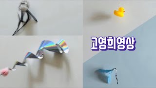 고영희영상 [Cat TV / Cat games / A video for cats ] 13 고양이가 좋아하는 영상