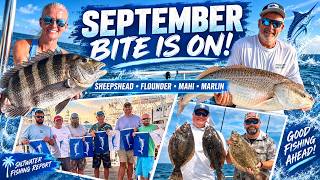 September Bite is On! Ocean, Bay & Jetty Fishing Is Getting Good- Ocean City, MD Fishing Report