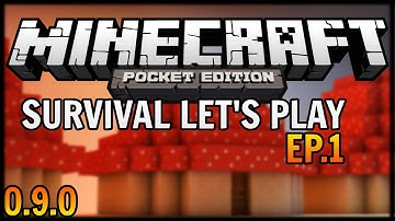 [0.9.0 beta] Survival Let