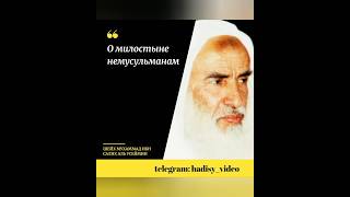 О милостыне (садака) немусульманам. Шейх Мухаммад ибн Салих аль Усеймин #садака #милостыня #закят