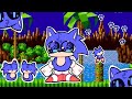 A lot of sonic (loop)