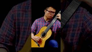Francisco Tarrega | Recuerdos de la Alhambra (for pipa and guitar) #shorts