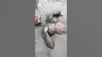 terapi mandi lumpur abu vulkanik 🔥 #shorts #shortvideo #short #mandilumpur