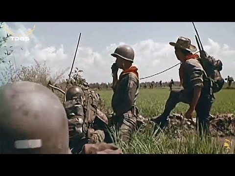 Video ĐI TỪ ĐỒNG RUỘNG BAO LAO | Duy Khanh, Hà Thanh - TRẢ... - youtube