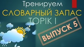 Тренажер по словарю TOPIK I. Выпуск 5/20. Погода в карточках.