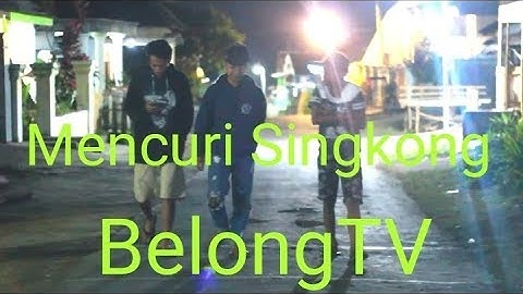 MENCURI SINGKONG_(BELONGTV)