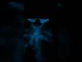 Swimming in the bioluminescence! ✨ #bioluminescence