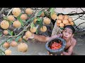 Mouth Watering With Survival Skills 2 | Eating Santol Fruits Very Bitter Spicy Salt Peppers