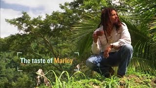 A taste of Marley (Docu. FR)