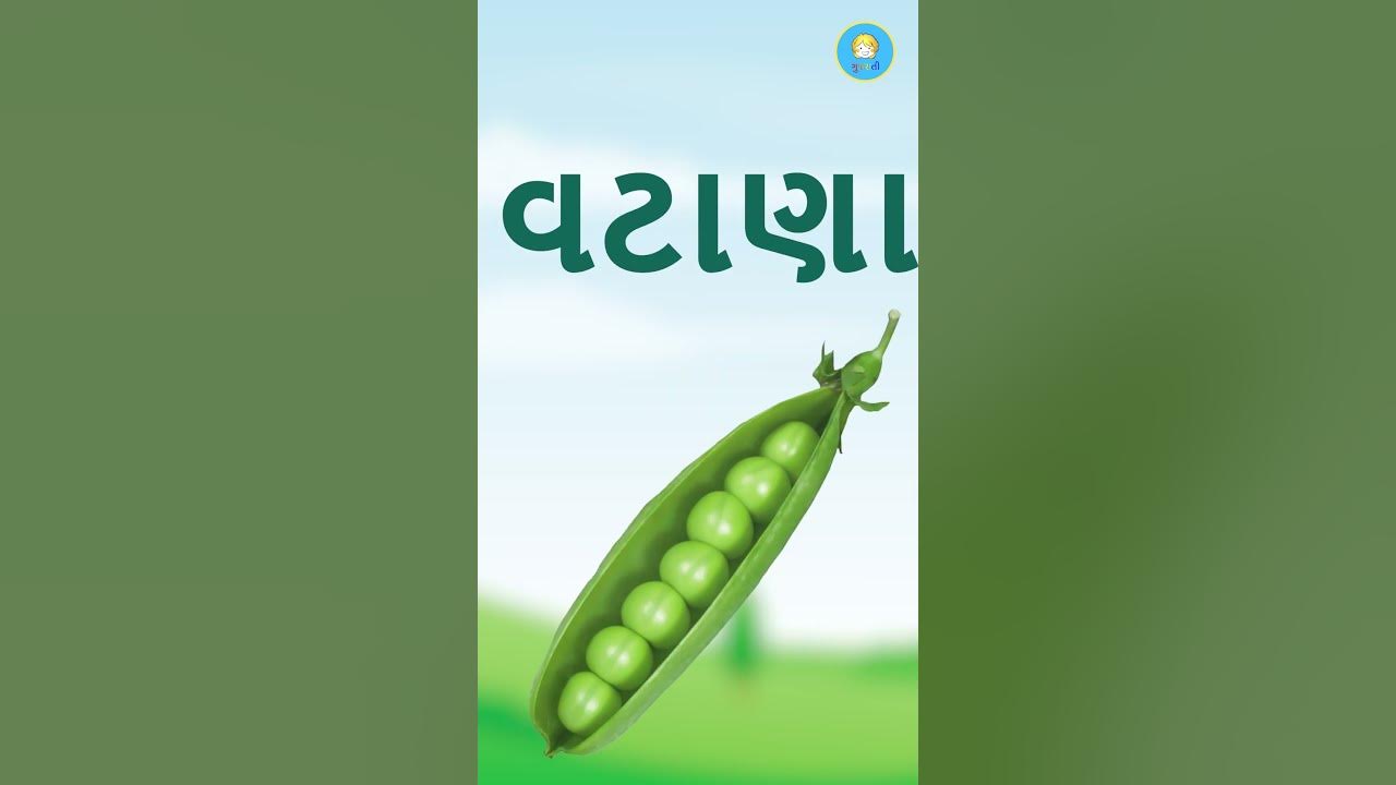 SHAKBHAJI NA NAM ગુજરાતી માં શાકભાજી ના નામ Gujarati vegetable name