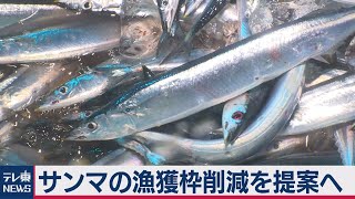 サンマの漁獲枠削減を提案へ（2021年2月23日）