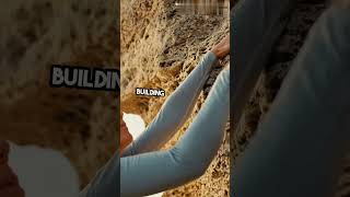 Mind Becomes Stronger Through Difficulties