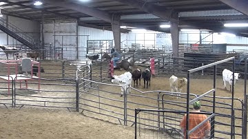 Tamulenas Player - sorting practice 1 - Valley View Ranch