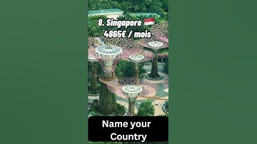 Top 10 Countries with highest monthly Salary #salary #money #trending #shorts