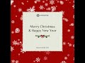 Merry Christmas &amp; Happy New Year  🎄✨