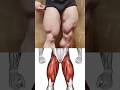 Unstoppable Leg Power 5 Explosive Dumbbell Exercise #shorts #youtubeshorts #ytshorts #youtube #vira