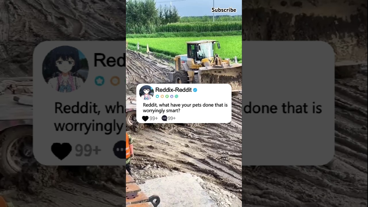 Reddit, what have your pets done that is worryingly smart?